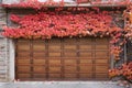 two-car garage of home surrounded by colorful red ivy leaves in fall