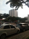 Two car is in street, under trees