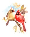 Two Cardinals Birds Male and Female Watercolor Illustration Hand Drawn Love Couple