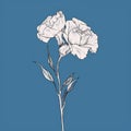 Elegant Carnation Flowers Illustration In Pencil Drawing