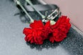 two carnations lie on a marble tombstone