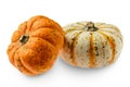 Two carnival squash isolated on white background Royalty Free Stock Photo