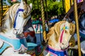 Two Carousel Horses On Merry Go Round Royalty Free Stock Photo