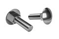 Two carriage bolt