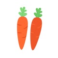 Two carrot vector vegetable products