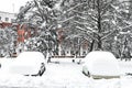 Two cars in the yard are strewn in the snow due to heavy sudden snowfall Royalty Free Stock Photo