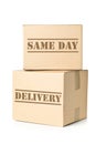 Two carton parcels with Same Day Delivery imprint Royalty Free Stock Photo