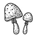 Two Cartoon Amanita Isolated On A White Background In Doodle Style