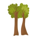 Two cartoon trees with lush green canopies and detailed brown trunks, isolated on white. Cartoon forest or park natural