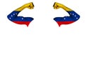 Two carved hands with a painted flag of Venezuela show muscles as a sign of strength, strength and readiness to fight on a white Royalty Free Stock Photo