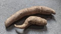 Two cassava pods on the cement floor