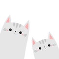 Two cat animal set. Kitten kitty friends. Cute cartoon funny kawaii character. Childish baby collection. T-shirt, greeting card,