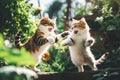 Two cat fighting in morning light, playing in backyard, generative AI Royalty Free Stock Photo
