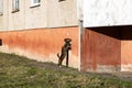 Two cats in front of building in city Royalty Free Stock Photo