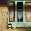 Two cats and in front a wood door Saint-Cyprien Dordogne France