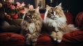 Two cats at home on the sofa in the living room. Generative AI. Royalty Free Stock Photo