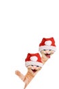 Two cats, laughing and waving with christmas hat Royalty Free Stock Photo