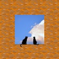 Two cats look at the sky from the edge of a window