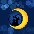 Two cats in love on the moon