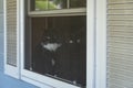 Two cats, one all black and one black and white tuxedo colored, sitting in a window looking out through the screen