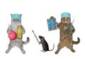 Two cats and rat doctors help pets Royalty Free Stock Photo