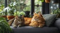 Two cats relaxing peacefully on a couch surrounded by lush green plants Royalty Free Stock Photo