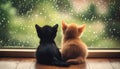 Two cats sit facing one another with a warm and sunny window sill behind them, creating a heartwarming scene Royalty Free Stock Photo