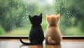 Two cats sit facing one another with a warm and sunny window sill behind them, creating a heartwarming scene Royalty Free Stock Photo