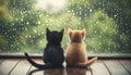 Two cats sit facing one another with a warm and sunny window sill behind them, creating a heartwarming scene Royalty Free Stock Photo