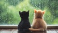 Two cats sit facing one another with a warm and sunny window sill behind them, creating a heartwarming scene Royalty Free Stock Photo