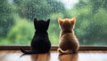 Two cats sit facing one another with a warm and sunny window sill behind them, creating a heartwarming scene Royalty Free Stock Photo
