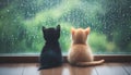 Two cats sit facing one another with a warm and sunny window sill behind them, creating a heartwarming scene Royalty Free Stock Photo