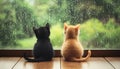 Two cats sit facing one another with a warm and sunny window sill behind them, creating a heartwarming scene Royalty Free Stock Photo