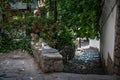 Two cats are sitting at the narrow shadowed street of old town of Plovdiv Royalty Free Stock Photo