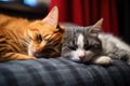Two cats are sleeping on a sofa. Close up. Selective focus, Cute red cat and black cat lying on sofa, closeup, AI Generated Royalty Free Stock Photo