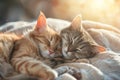 Two cats snuggling together. Two adorable kittens sleeping together close up. Generative AI