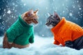 Two cats in sweaters in the snow Royalty Free Stock Photo