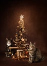 Two Cats under a Christmas Tree