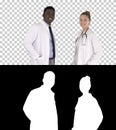 Two caucasian and afro american smiling doctors standing looking in to camera, Alpha Channel Royalty Free Stock Photo