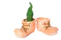 Two ceramic shoes as an flower pot with cactus Royalty Free Stock Photo