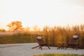 Two chairs outdoors at sunset Royalty Free Stock Photo