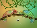Two chameleons on the branch Royalty Free Stock Photo