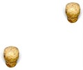 Two champagne cork lie diagonal white Royalty Free Stock Photo