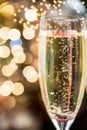 Two Champagne Flutes on Christmas Background Royalty Free Stock Photo