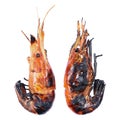 two char grilled big prawns isolated on white