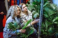 Two charming serious woman chooses luxurious green palm tree in shopping mall. Garden center. Sale of indoor plants. Royalty Free Stock Photo