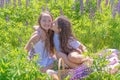 Two charming young girls with long hair on the field with lupins. Teen girl kisses her friend. Girlfriends, the concept