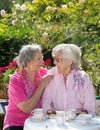 Two cheerful senior women having tea in garden Royalty Free Stock Photo