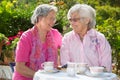 Two senior women chatting at table Royalty Free Stock Photo