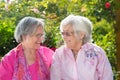 Two cheerful senior women relaxing in garden Royalty Free Stock Photo